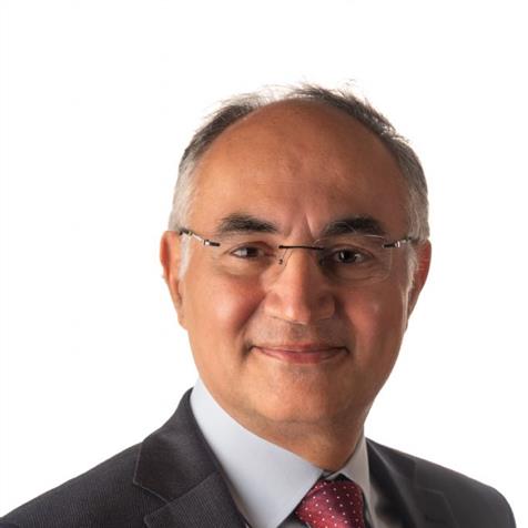 Professor Reza Razavi