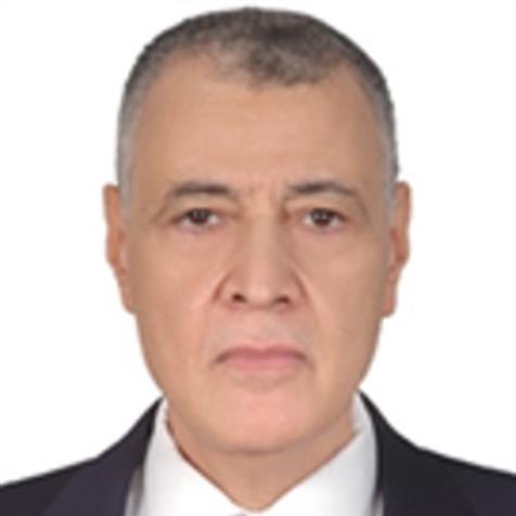 Elhadi H. Aburawi