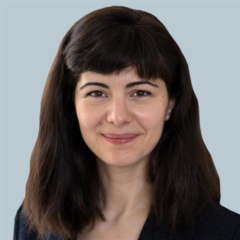 Ada C. Stefanescu Schmidt